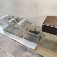 تعدادی آکواریوم