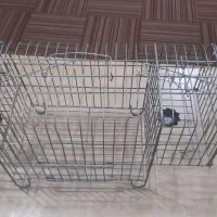 قفس نو