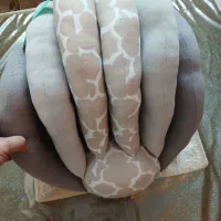 بالشت شیر دهی پروانه ورقه ای