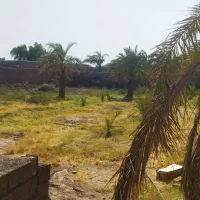 خانه-فروشی