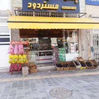 نیروی کار