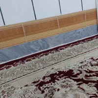 نظافت و شستشوی