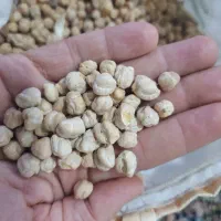 نخود بهاره درشت درجه یک