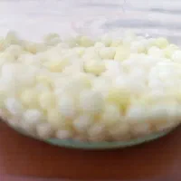 خاویار حلزون