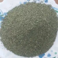 نعناع خشک ارگانیک