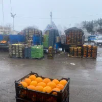 حسابدار