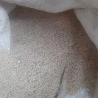 بذر|گل و گیاه طبیعی|نورآباد, |دیوار