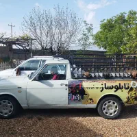 پیکان بار