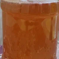عسل به شرط آزمایشگاه وبرگه ازمایش