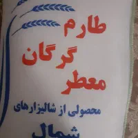 برنج طارم گرگان معطر و برنج هاشمی درجه ۱گیلان