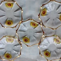 پیش دستی