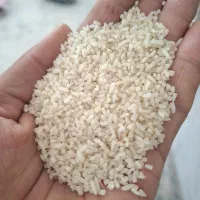 نیمدانه دم سیاه
