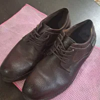 کفش چرم ecco