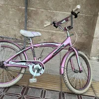 دوچرخه سایز ۲۰ پوست پیازی دخترانه