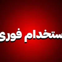 استخدام نیروی کار ام دی اف