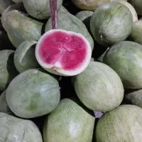 هندوانه گاوی