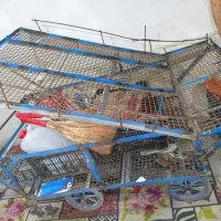 گاری میوه فروشی