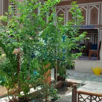 اقامتگاه .بومگردی .سوییت .هتل سنتی