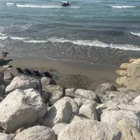 استخدام نگهبان، سرایدار،باغبان