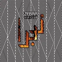 استخدام نیروی سالن و بار