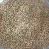 فروشی