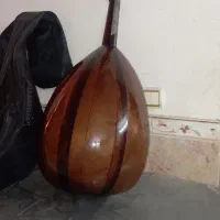 عود مصری