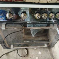 اجاق گاز فردار