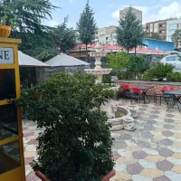 حسابدار خانم