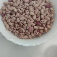 لوبیا چیتی