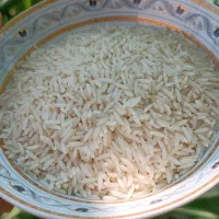 برنج هاشمی سورتینگ شده