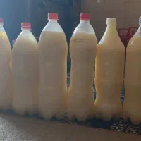 روغن بز و گوسفند فروشی