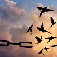 ترک اعتیاد تولدی دوباره