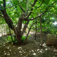 خانه-ویلایی-در-کلاک-بالا