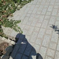 باغچه
