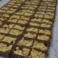جوجه