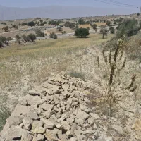 زمین کشاورزی