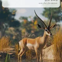 سرمایه گذار هستم