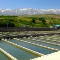 شیلات ماهی لرستان اجاره فوری