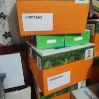 قرارداد کاشت چغندر با پرداخت کل هزینه همه هزینه ها
