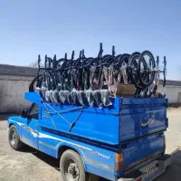 قسطی باچک/انواع رنگبندی/کد۸۹۸۹۱۹(آخرطالقانی)