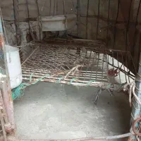 قفس مرغ