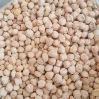 لوبیا چیتی و نخود محلی درجه ۱
