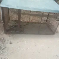 قفس فلزی