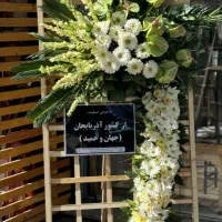 رز 50ت|گل و گیاه طبیعی|تبریز, |دیوار