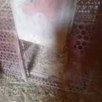 فروش