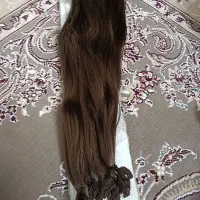 سالن داشتم جمع کردم