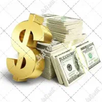 پرداخت سرمایه شخصی