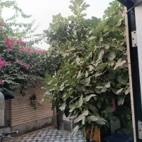 ویلایی دو طبقه با حیاط و باغچه
