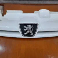 جلو پنجره پژو پارس