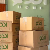 استخدام دستیار تولید محتوا و عکاسی